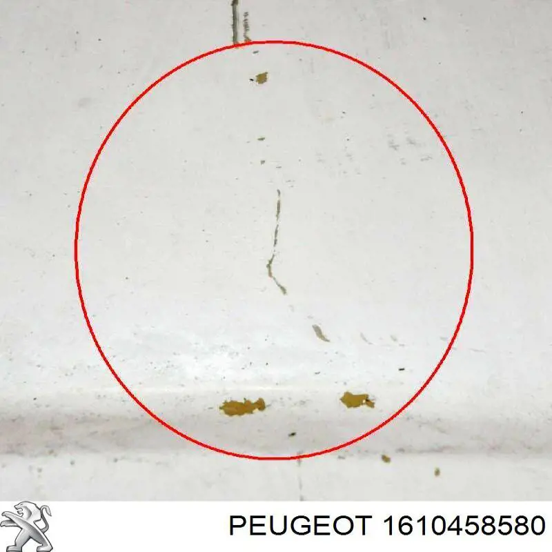 Do koszyka 1610458580 Peugeot/Citroen Błotnik przedni lewy
