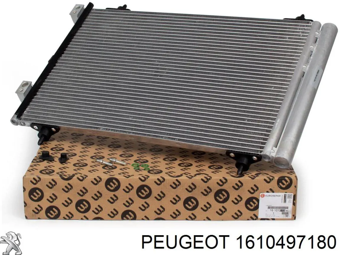 Do koszyka 1610497180 Peugeot/Citroen Silniczek wentylatora nagrzewnicy (ogrzewacza wnętrza)