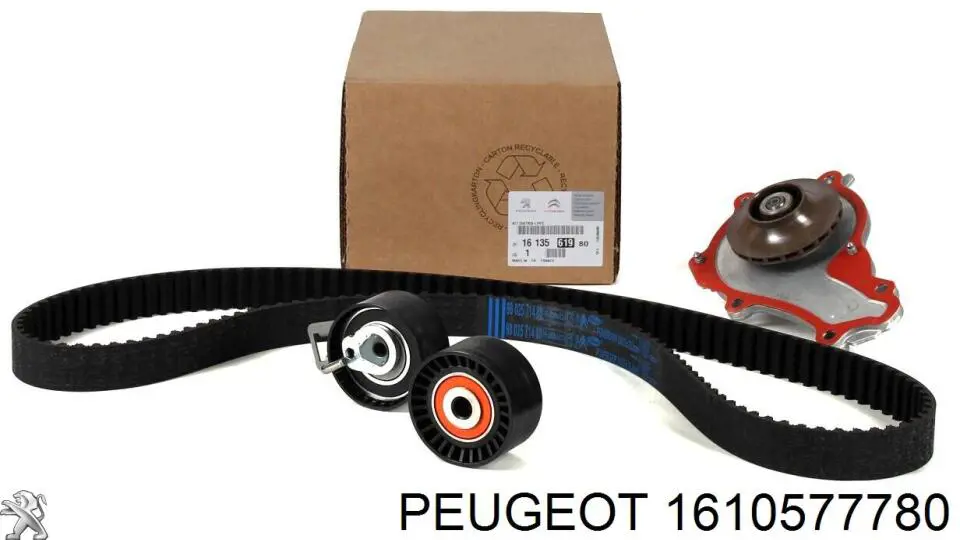 Pasek rozrządu, zestaw Peugeot/Citroen 1610577780