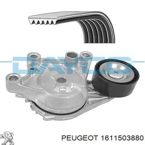 Pasek napędowy mechanizmów, zestaw Peugeot/Citroen 1611503880 cena, od 57,48 USD