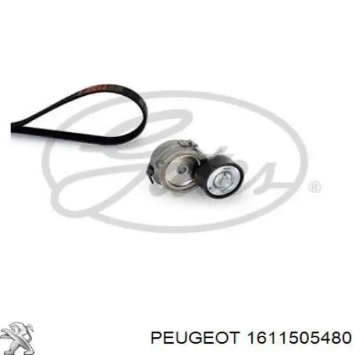 Pasek napędowy mechanizmów, zestaw Peugeot/Citroen 9819833380 cena, od 76,35 USD