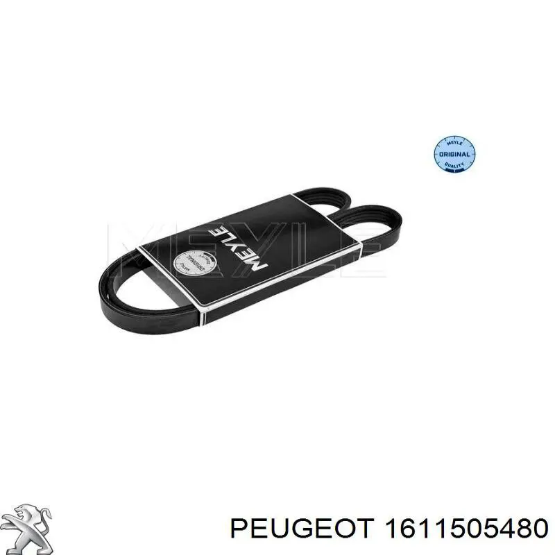 Do koszyka 9819833380 Peugeot/Citroen Pasek napędowy mechanizmów, zestaw