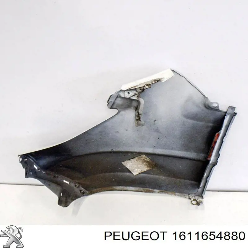 Do koszyka 1611654880 Peugeot/Citroen Błotnik przedni prawy