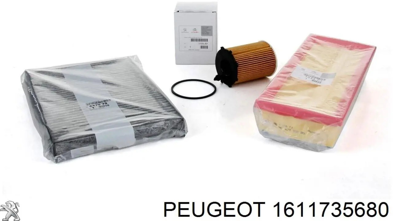 Do koszyka 1611735680 Peugeot/Citroen Czujnik parkowania tylny