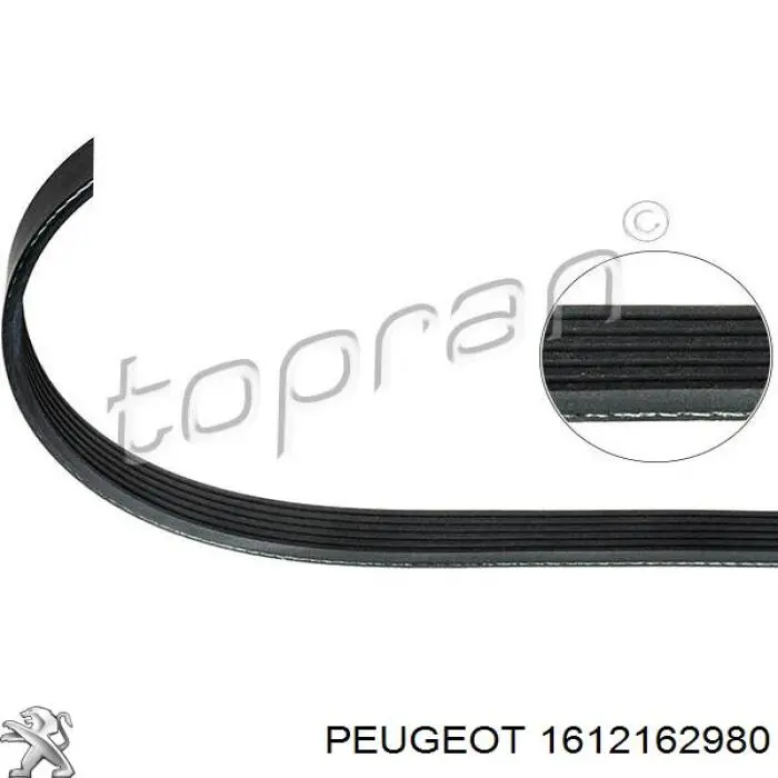 Do koszyka 1612162980 Peugeot/Citroen Pas napędowy mechanizmów