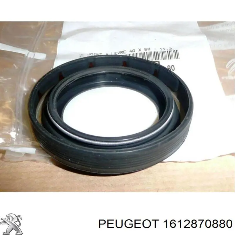 Do koszyka Korek zbiornika spryskiwacza Peugeot Boxer III 250