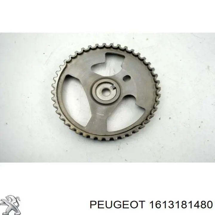 1613181480 Peugeot/Citroen Koło zębatewalcowe wałka rozrządu silnika