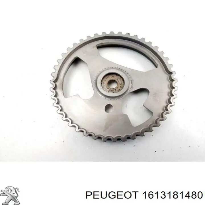 1613181480 Peugeot/Citroen Koło zębatewalcowe wałka rozrządu silnika