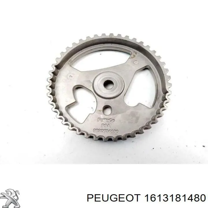 Koło zębatewalcowe wałka rozrządu silnika Peugeot/Citroen 1613181480