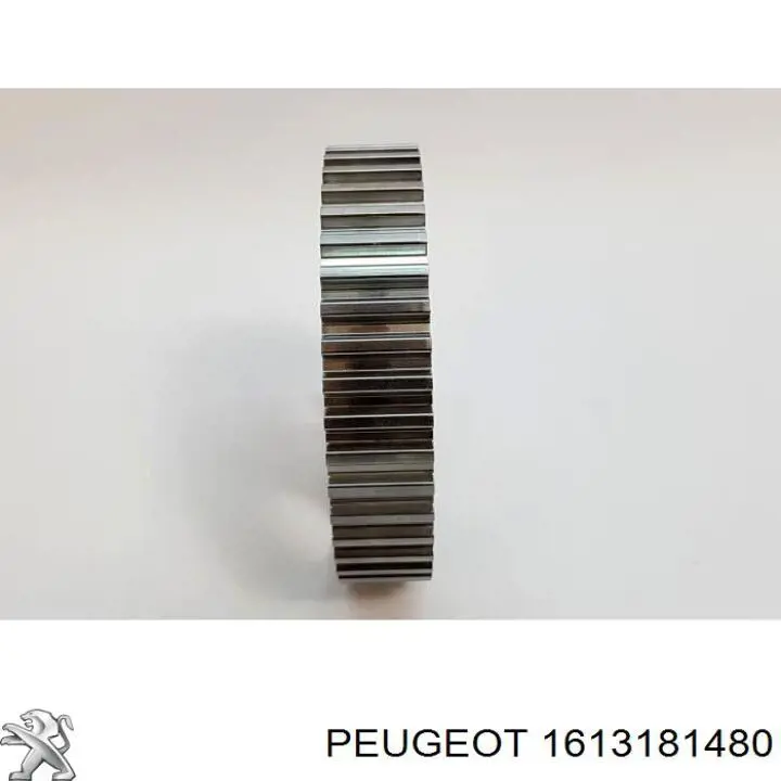 Do koszyka 1613181480 Peugeot/Citroen Koło zębatewalcowe wałka rozrządu silnika