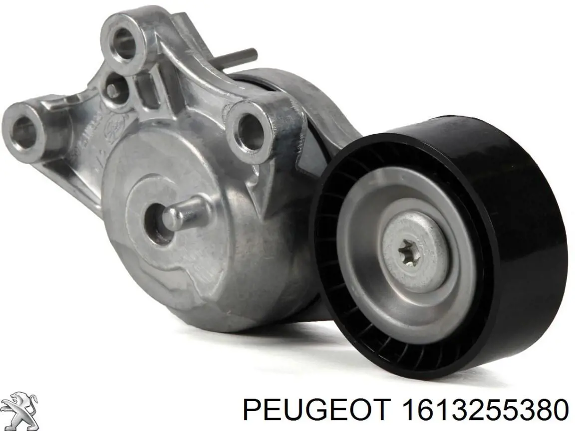 Do koszyka 9803757480 Peugeot/Citroen Napinacz paska napędowego