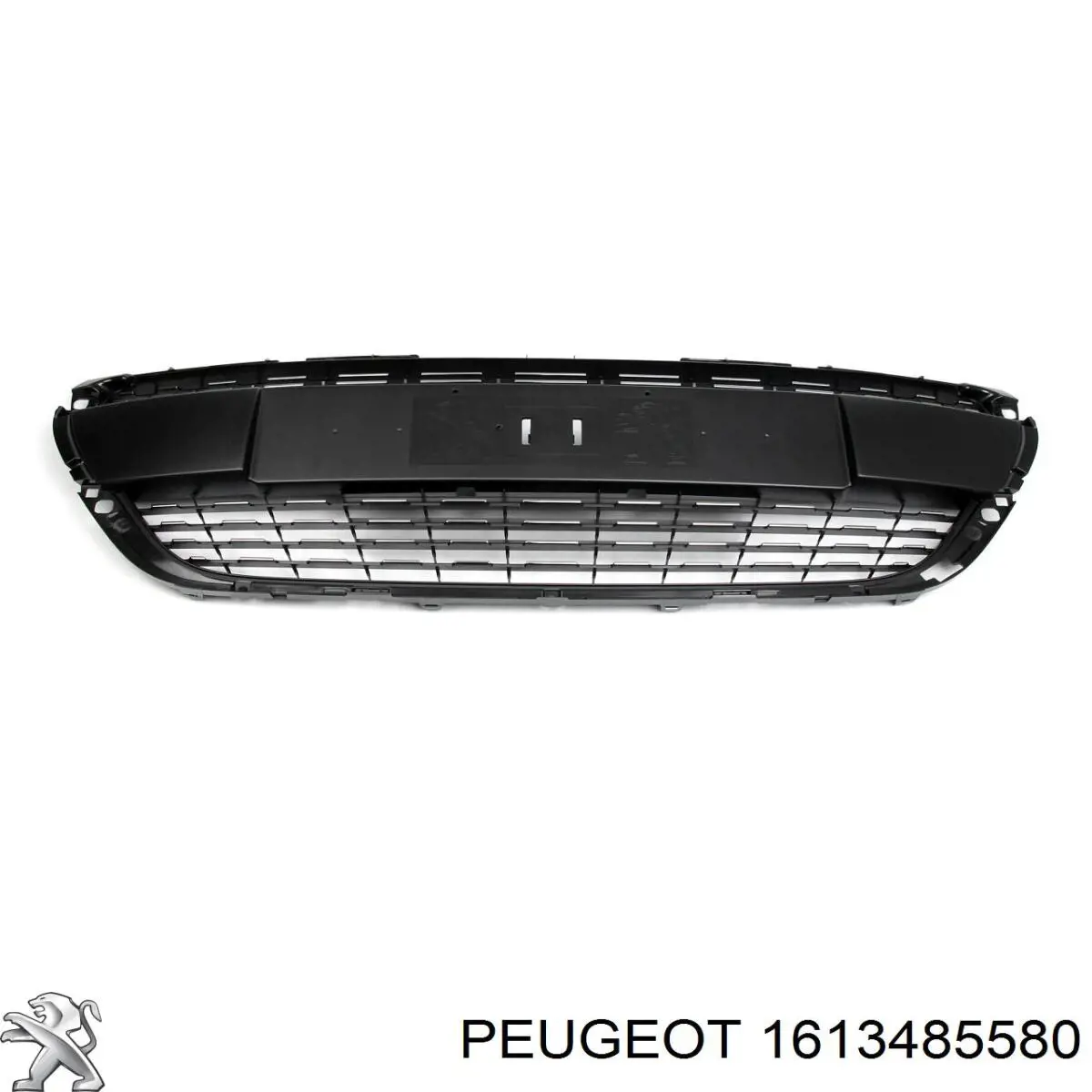 Atrapa chłodnicy Peugeot/Citroen 1613485580 cena, od 27,86 USD