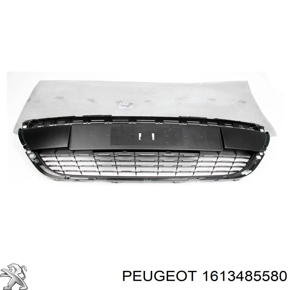 Do koszyka 1613485580 Peugeot/Citroen Atrapa chłodnicy