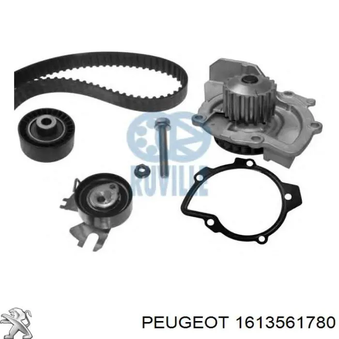 1613561780 Peugeot/Citroen Pasek rozrządu, zestaw