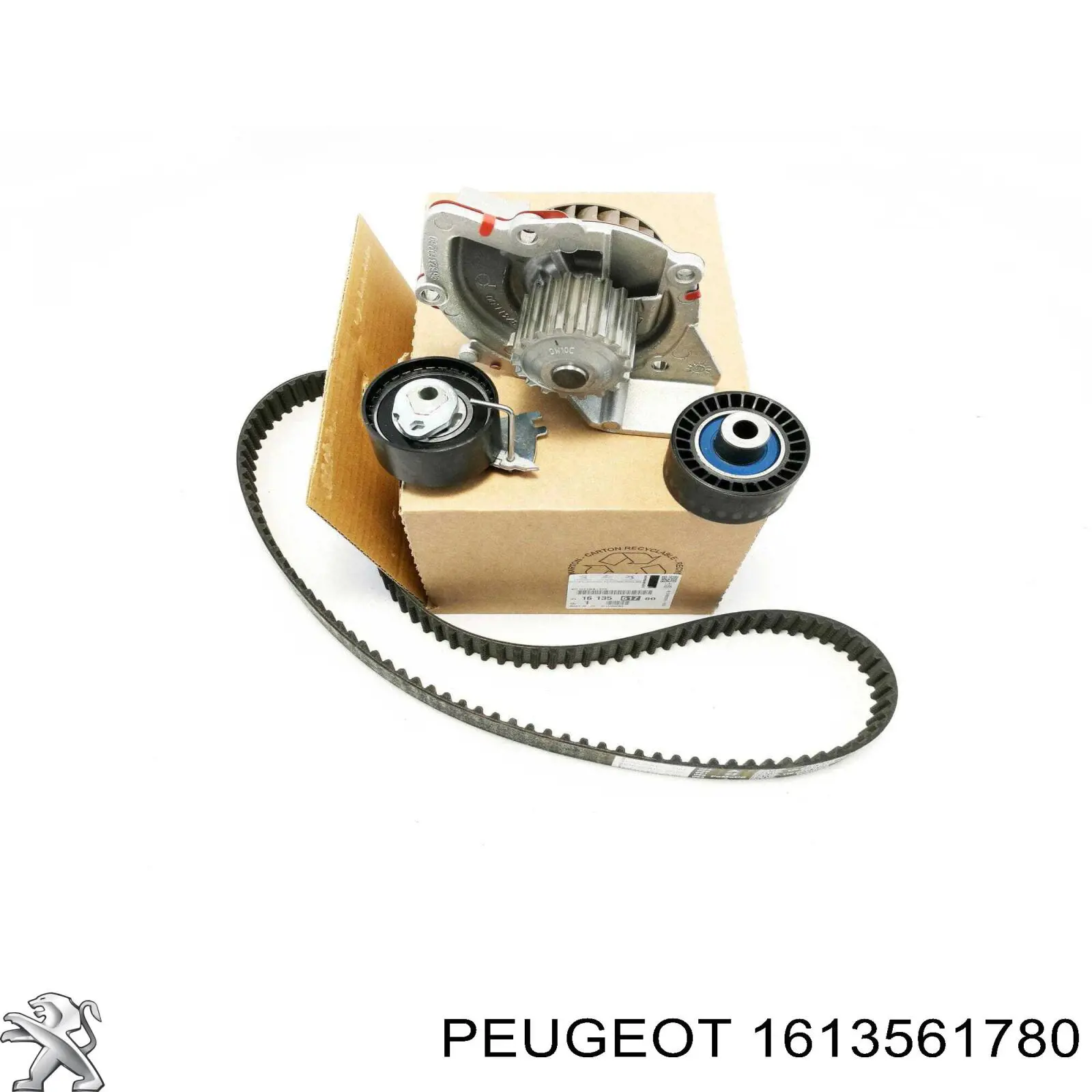 Pasek rozrządu, zestaw 1613561780 Peugeot/Citroen