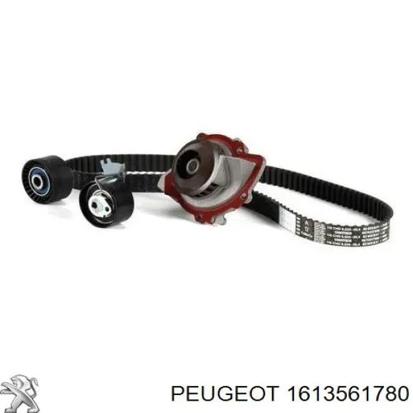 1613561780 Peugeot/Citroen Pasek rozrządu, zestaw