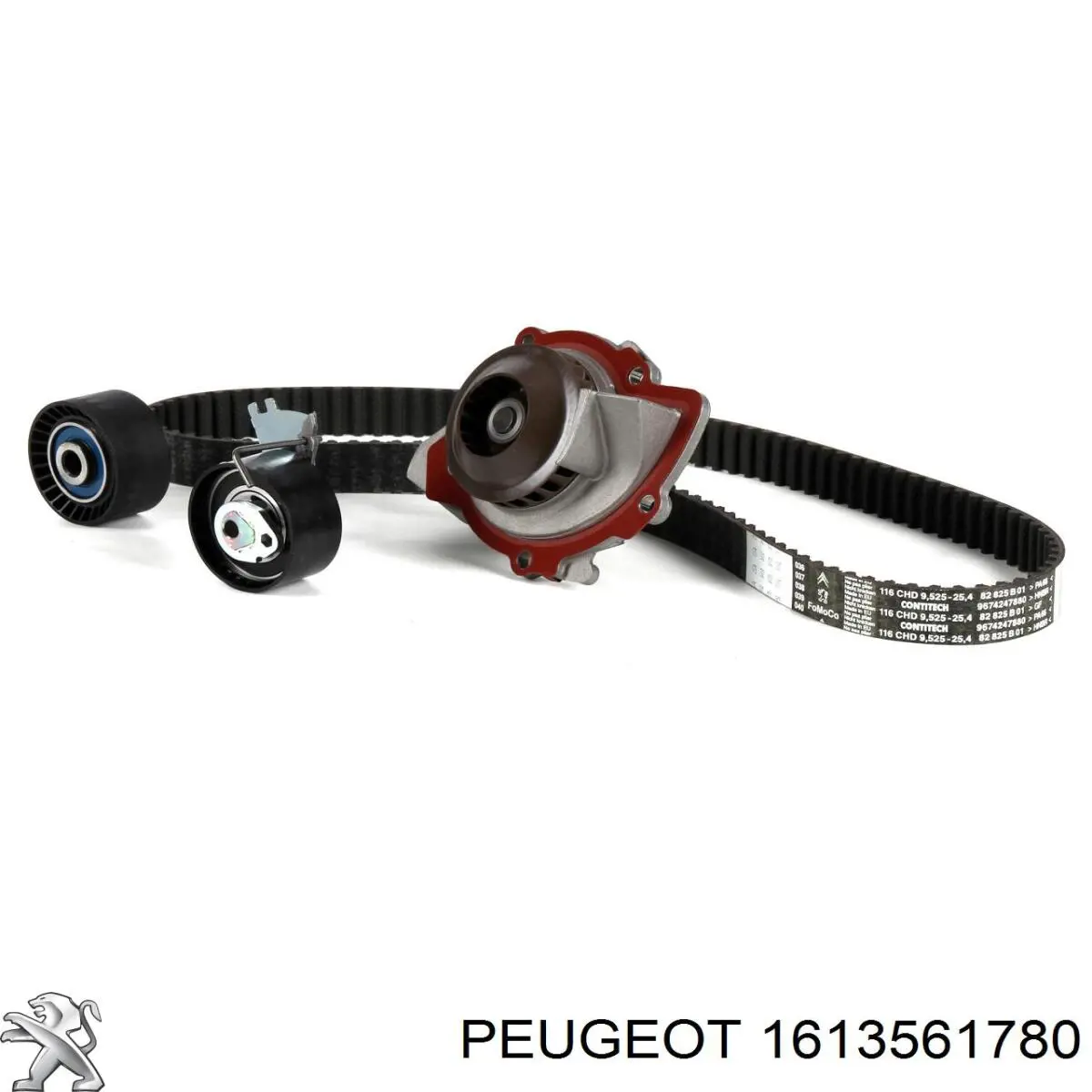 Pasek rozrządu, zestaw Peugeot/Citroen 1613561780 cena, od 149,86 USD
