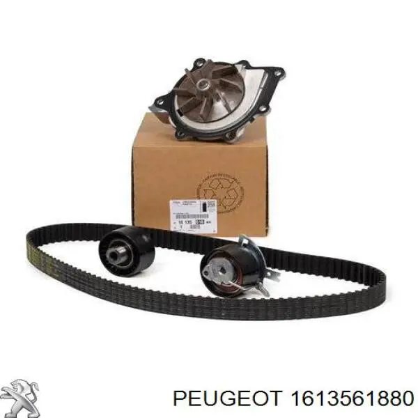 Pasek rozrządu, zestaw Peugeot/Citroen 1613561880 cena, od 160,45 USD