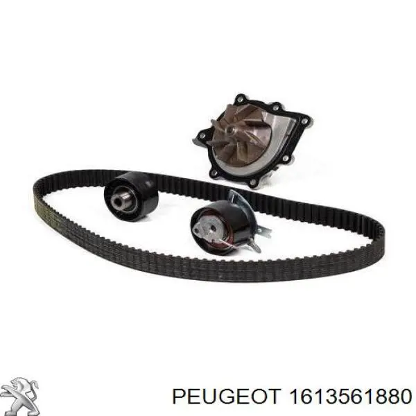Do koszyka 1613561880 Peugeot/Citroen Pasek rozrządu, zestaw