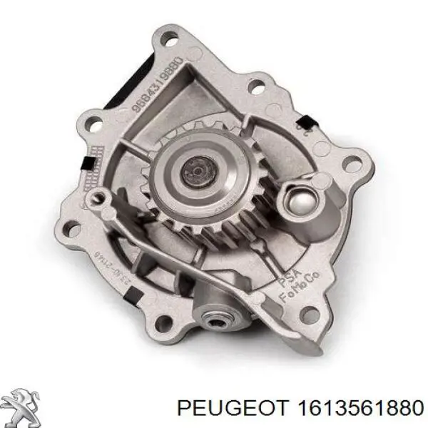 1613561880 Peugeot/Citroen Pasek rozrządu, zestaw