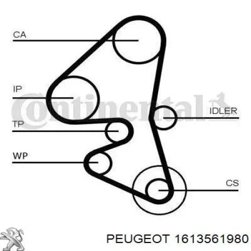 1613561980 Peugeot/Citroen Pasek rozrządu, zestaw