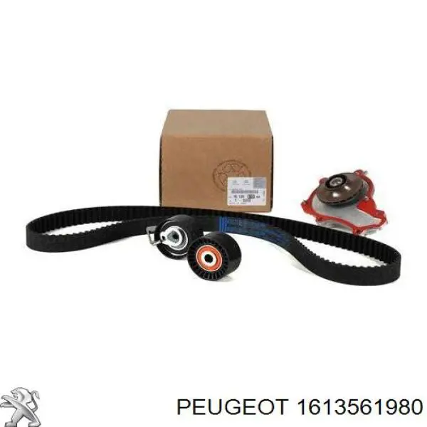 1613561980 Peugeot/Citroen Pasek rozrządu, zestaw