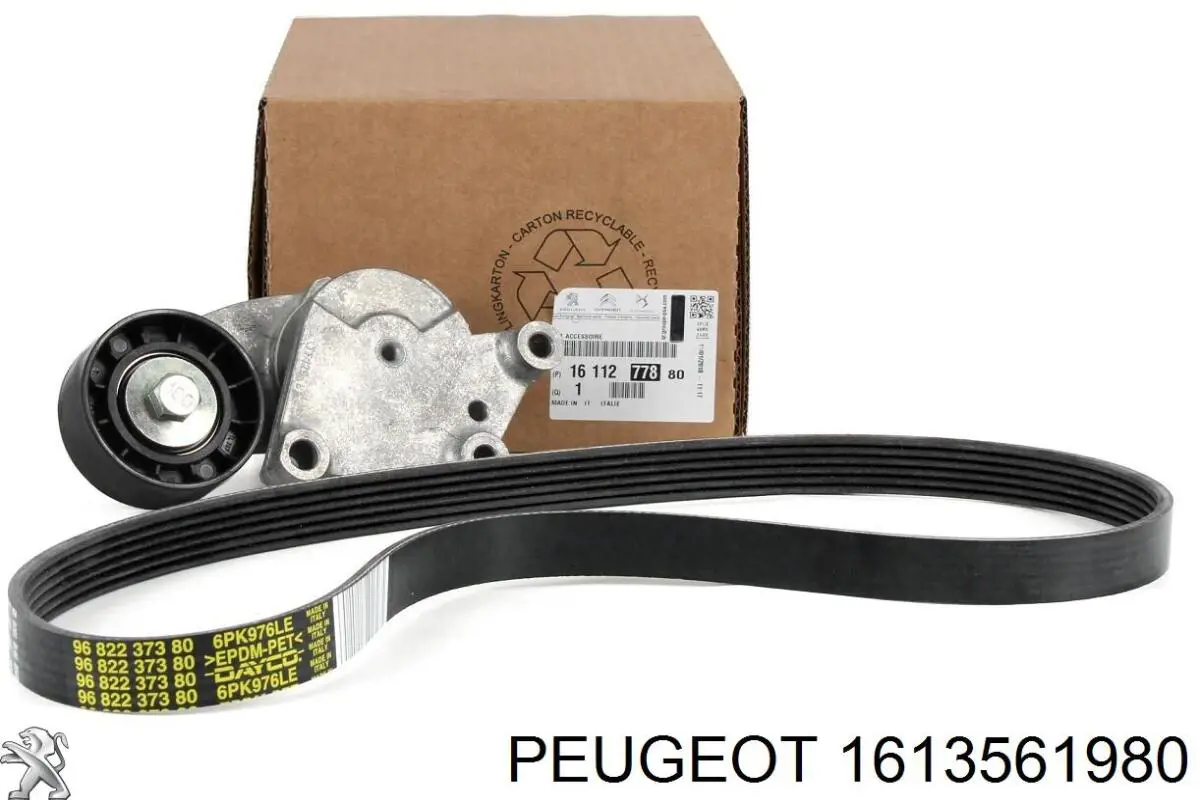 Pasek rozrządu, zestaw 1613561980 Peugeot/Citroen