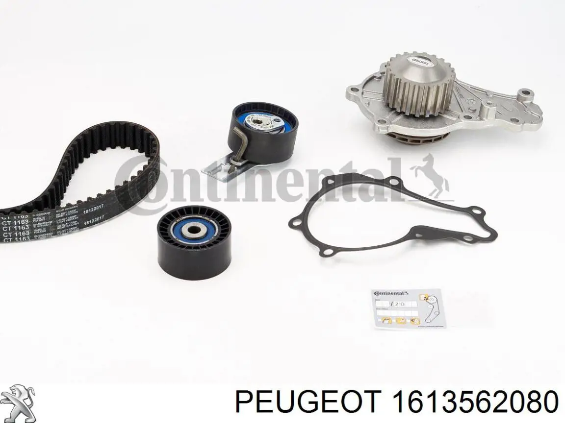1613562080 Peugeot/Citroen pasek rozrządu, zestaw