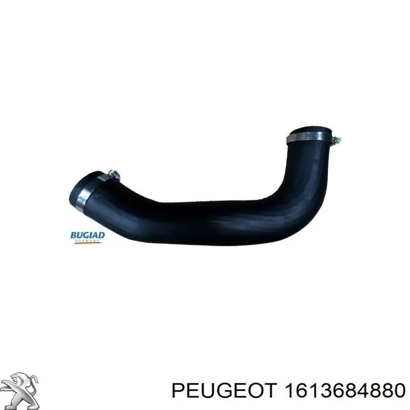 0382QS Peugeot/Citroen Przewód (króciec) intercoolera