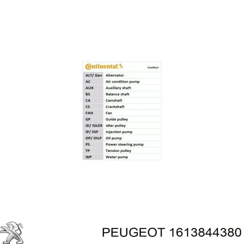 1613844380 Peugeot/Citroen pasek napędowy mechanizmów, zestaw