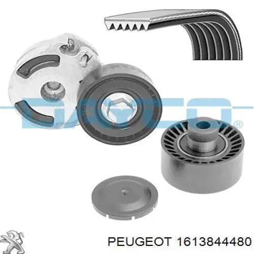 1613844480 Peugeot/Citroen pasek napędowy mechanizmów, zestaw