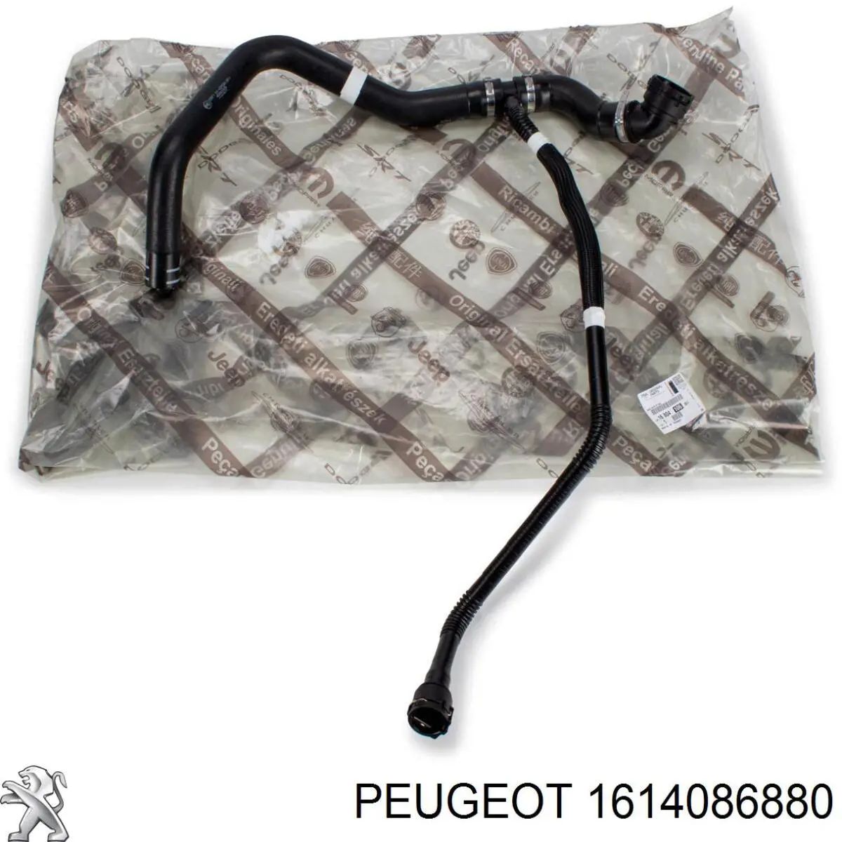 Do koszyka 1614086880 Peugeot/Citroen Przewód (króciec) chłodnicy dolny