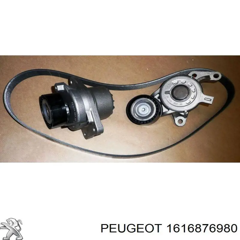 Pasek napędowy mechanizmów, zestaw Peugeot/Citroen 1616876980