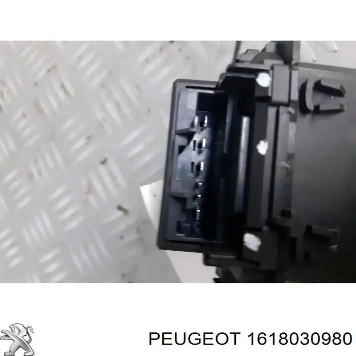 1618030980 Peugeot/Citroen 