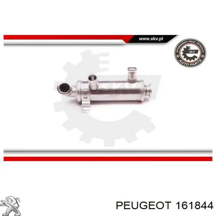 Do koszyka 161844 Peugeot/Citroen Chłodnica układu recyrkulacji spalin EGR