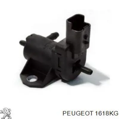 Do koszyka 1618KG Peugeot/Citroen Zawór elektromagnetyczny regulacji klapy EGR