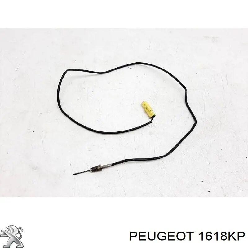 Czujnik temperatury spalin, w katalizatorze Peugeot/Citroen 1618KP cena, od 112,70 USD