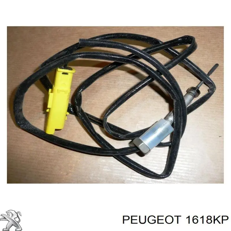 Czujnik temperatury spalin, w katalizatorze Peugeot 407 SW (6E)