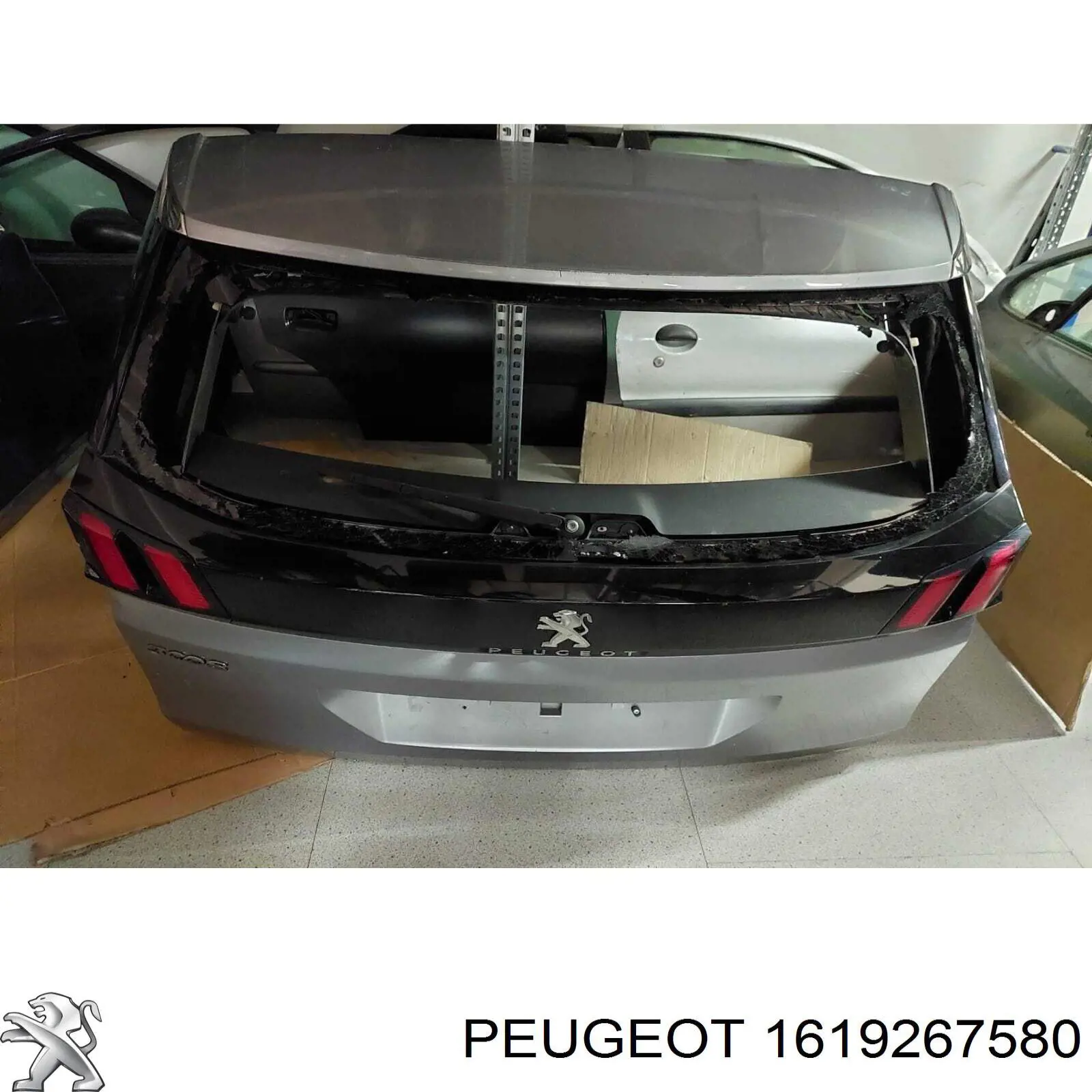 Drzwi tylne (bagażnika 3/5) Peugeot/Citroen 1619267580 cena, od 400,36 USD