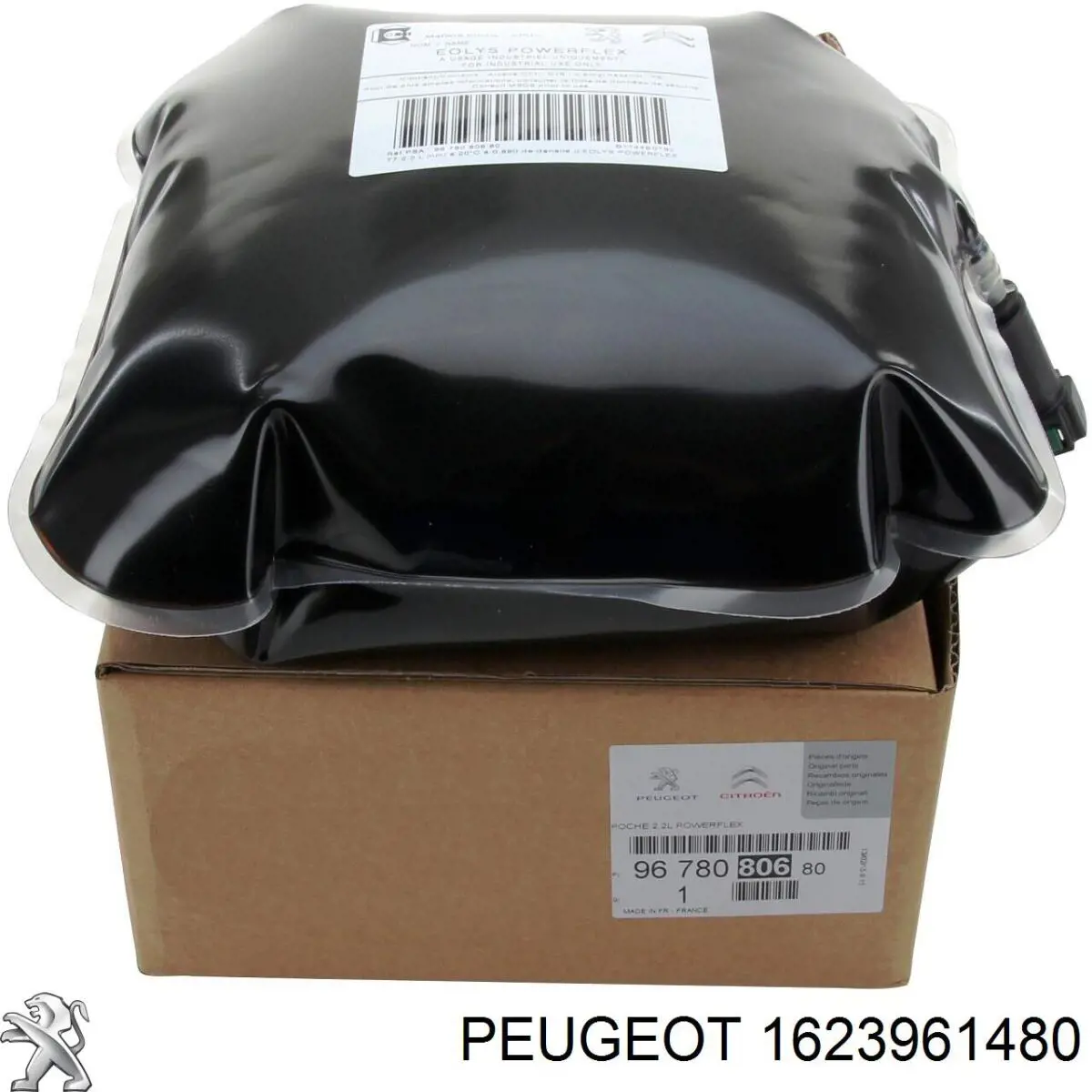  Peugeot/Citroen 1623961480