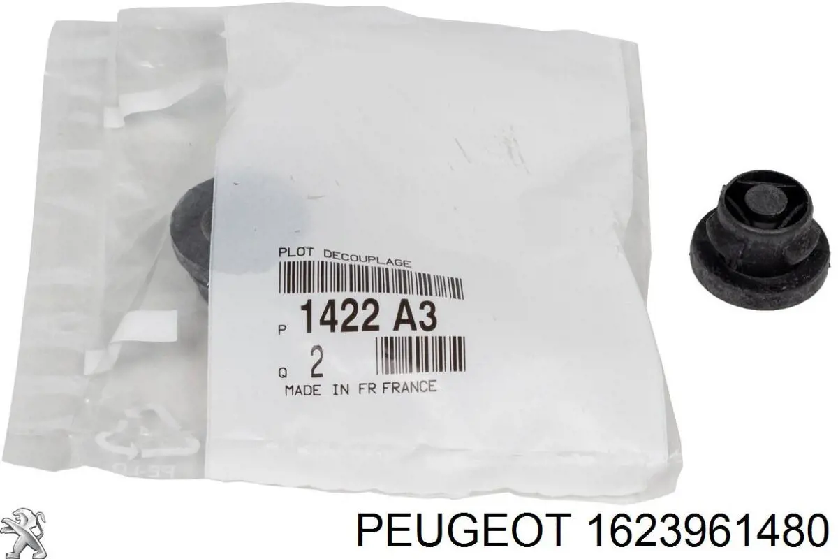 Płyn do filtrów cząstek stałych 1623961480 Peugeot/Citroen