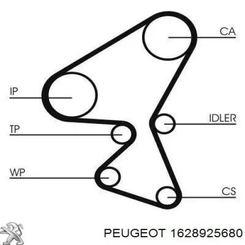 1628925680 Peugeot/Citroen Pasek rozrządu