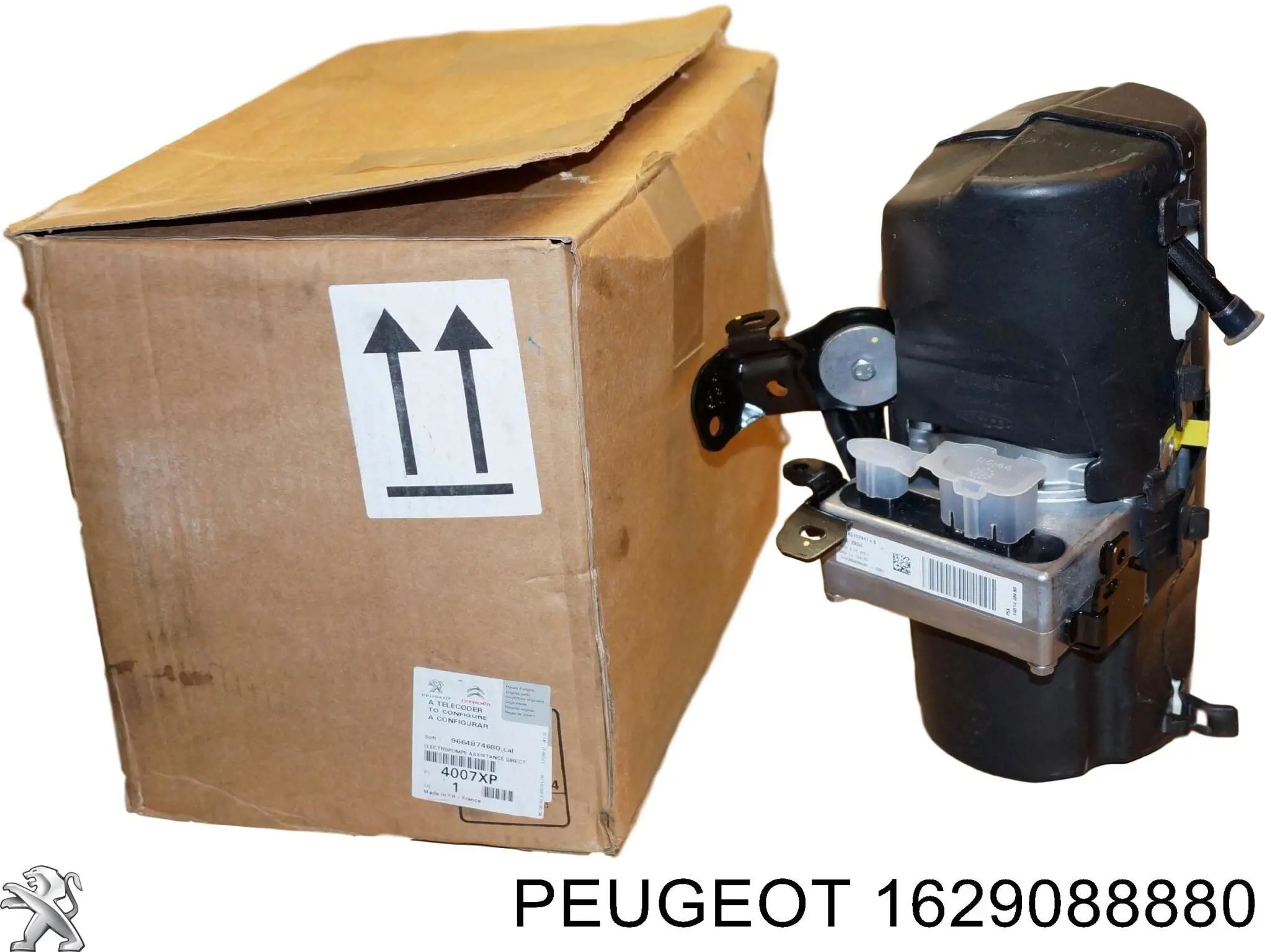 Do koszyka 7070067 Sasic Pompa wspomagania hydraulicznego kierownicy