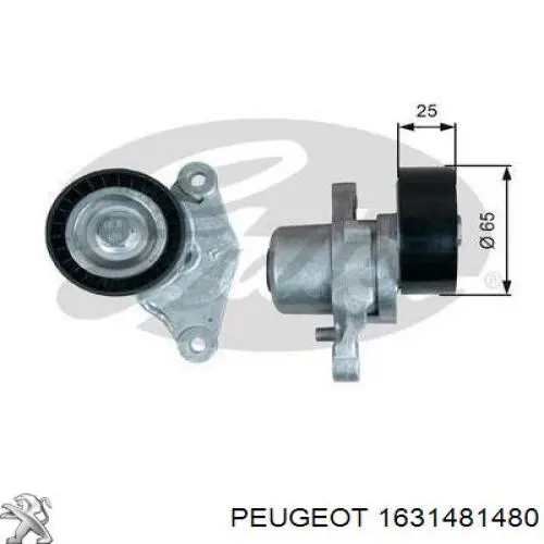 Do koszyka 1631481480 Peugeot/Citroen Napinacz paska napędowego