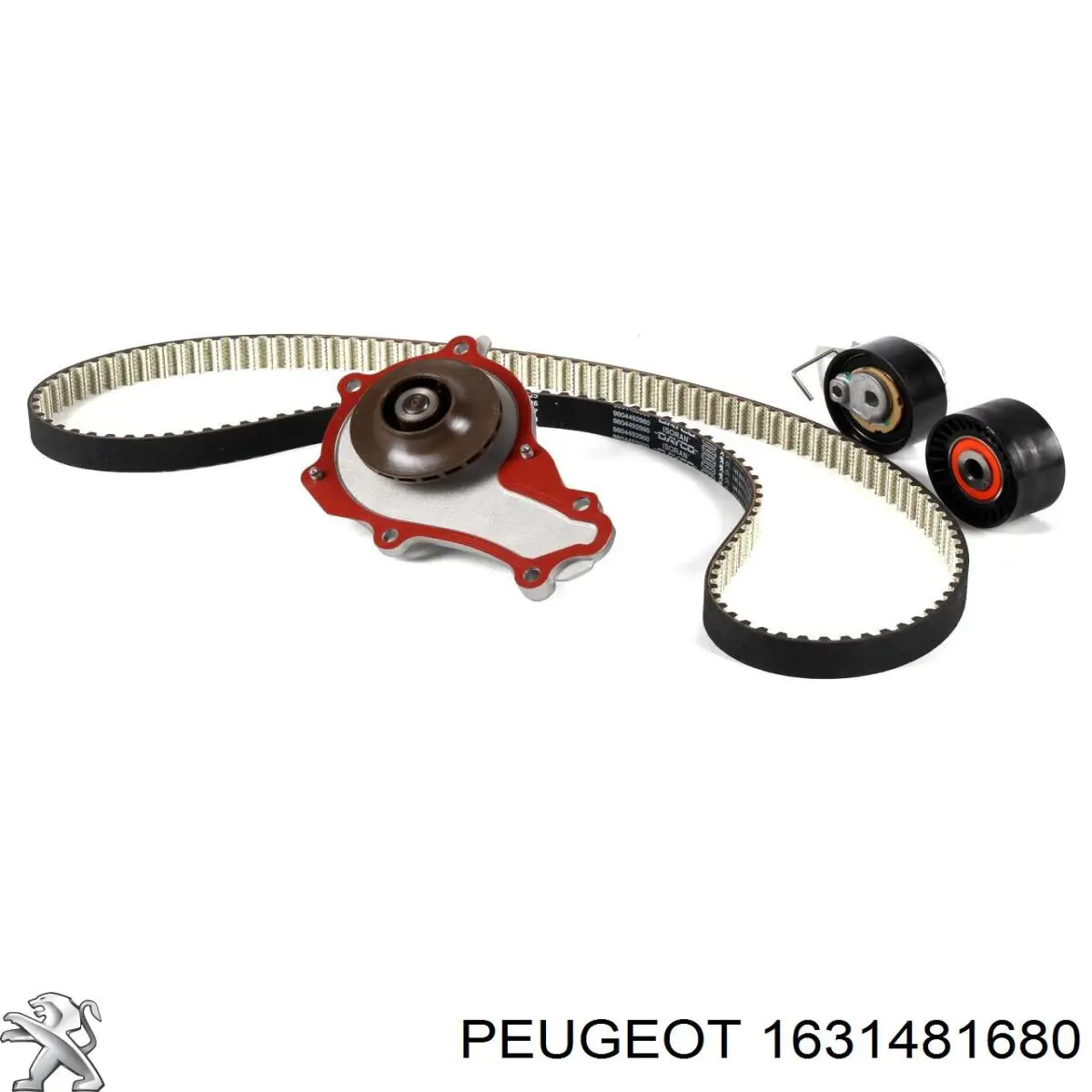 Pasek napędowy mechanizmów, zestaw Peugeot/Citroen 1631481680 cena, od 164,40 USD