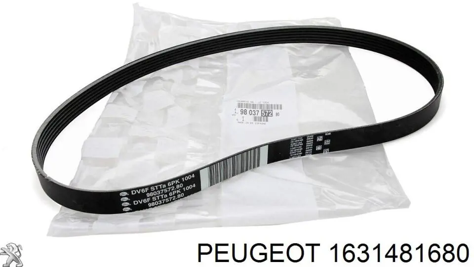 1631481680 Peugeot/Citroen Pasek napędowy mechanizmów, zestaw