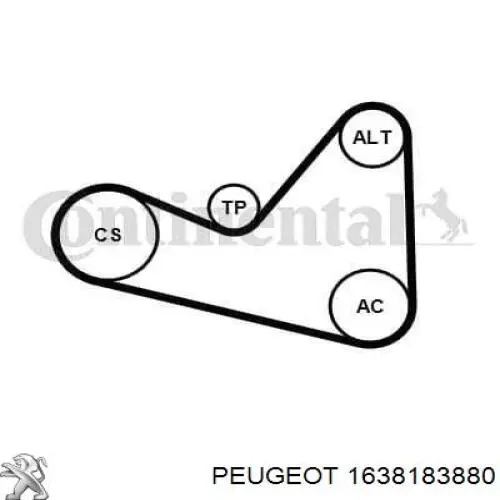 1638183880 Peugeot/Citroen Pasek napędowy mechanizmów, zestaw