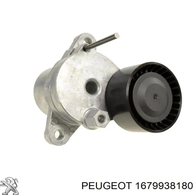 1679938180 Peugeot/Citroen 