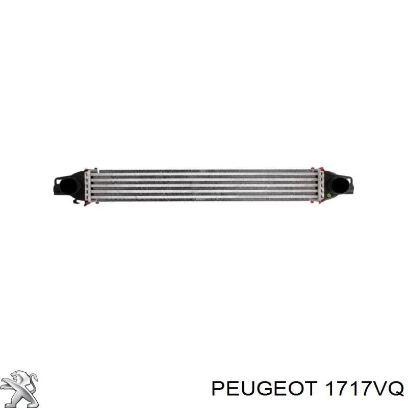 1717VQ Peugeot/Citroen Tłumik, tylna część