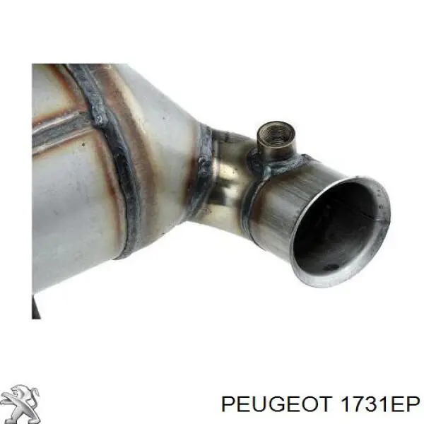 Do koszyka 1731EP Peugeot/Citroen Filtr cząstek stałych układu wydechowego